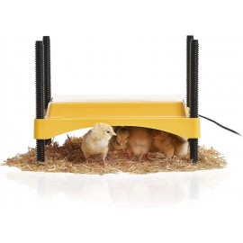 Brinsea Products Ecoglow 20 Safety 600 Brooder for Chicks Or Ducklings, Yellow/Black