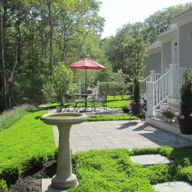 Outsidepride 5 lb. Perennial White Miniclover Dwarf, Small Leaved, Lawn Clover & Ground Cover Seeds