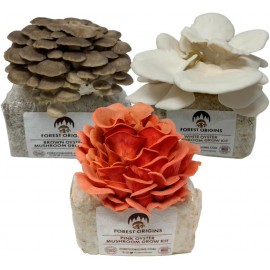 Forest Origins Specialty Trio Oyster Mushroom Grow Kit 3-Pack Variety - Beginner Friendly & Easy to Use, Grows in 10 Days | Handmade in California, USA | Top Gardening Gift, Holiday Gift & Unique Gift